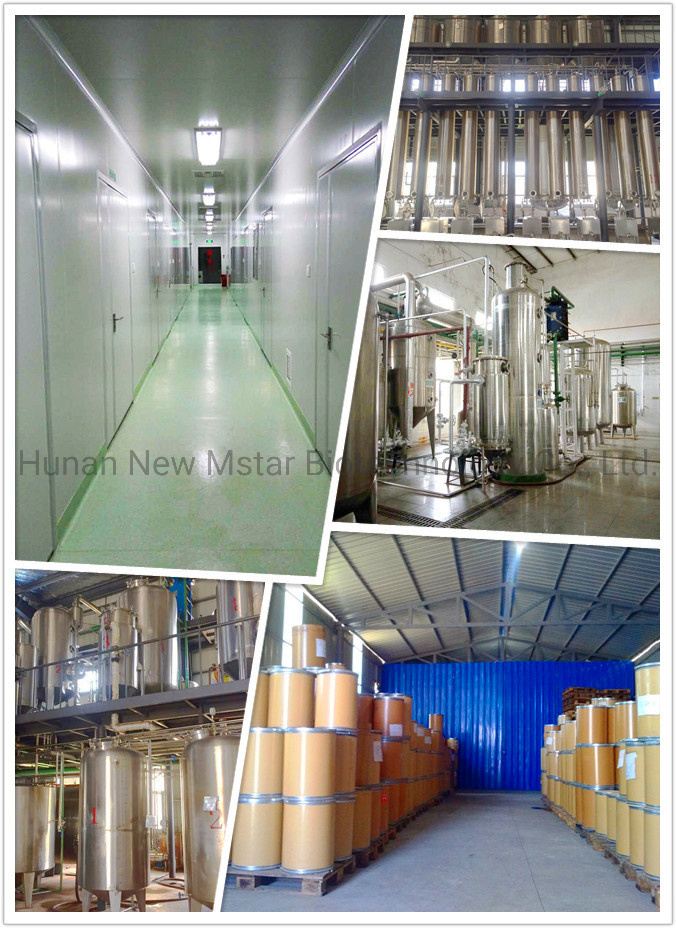 Houttuynia Extract 