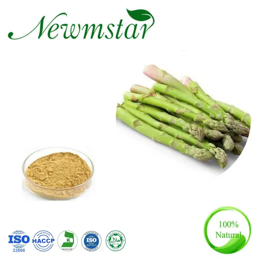Wholesale 12.5 Asparagus Saponins Asparagus/Root Extract with Factory Price